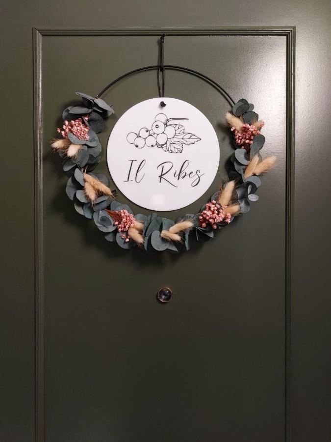 Residence Dei Frutti Pieno Centro - Il Ribes パドヴァ エクステリア 写真